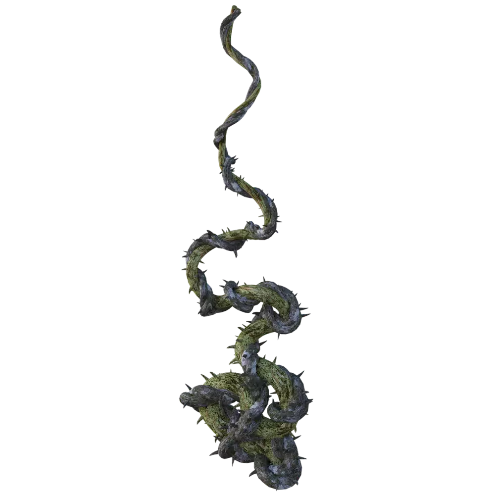 Tangle
