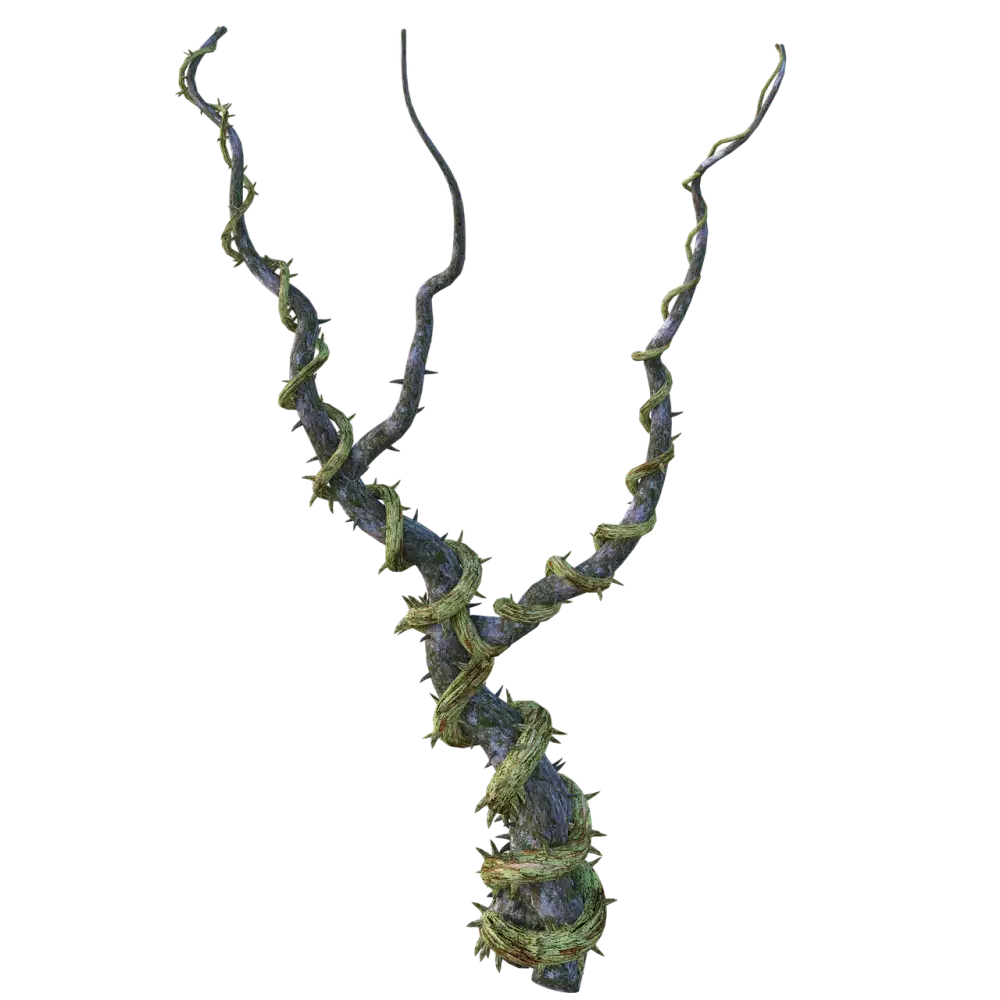 Tangle