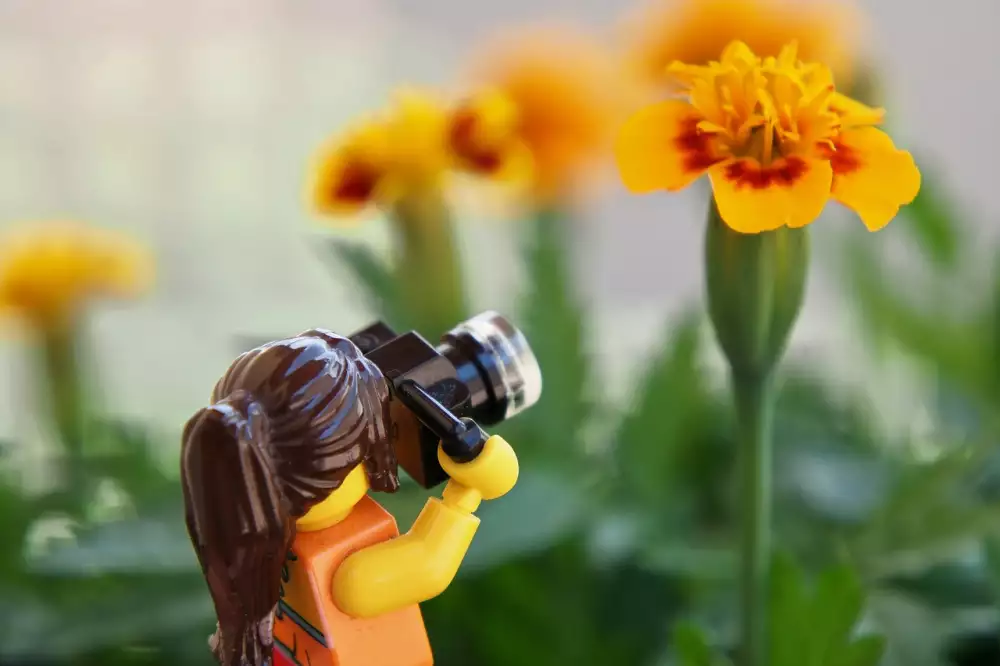 Lego Kytky