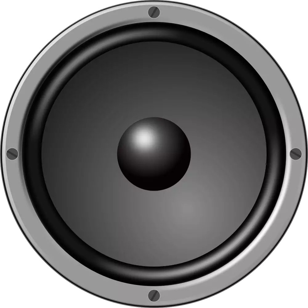 Bass