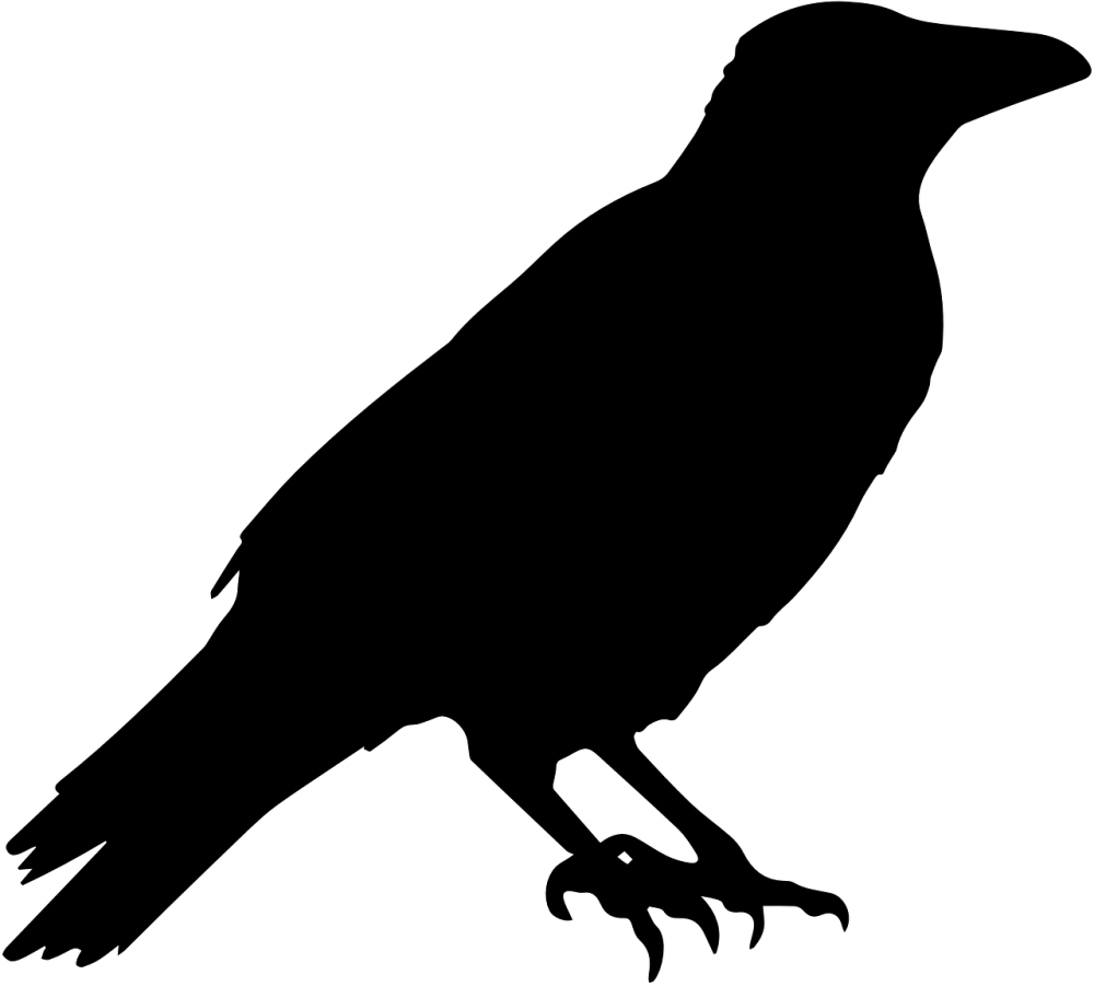 Omalovánky Pes