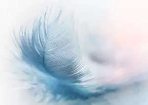 Swing