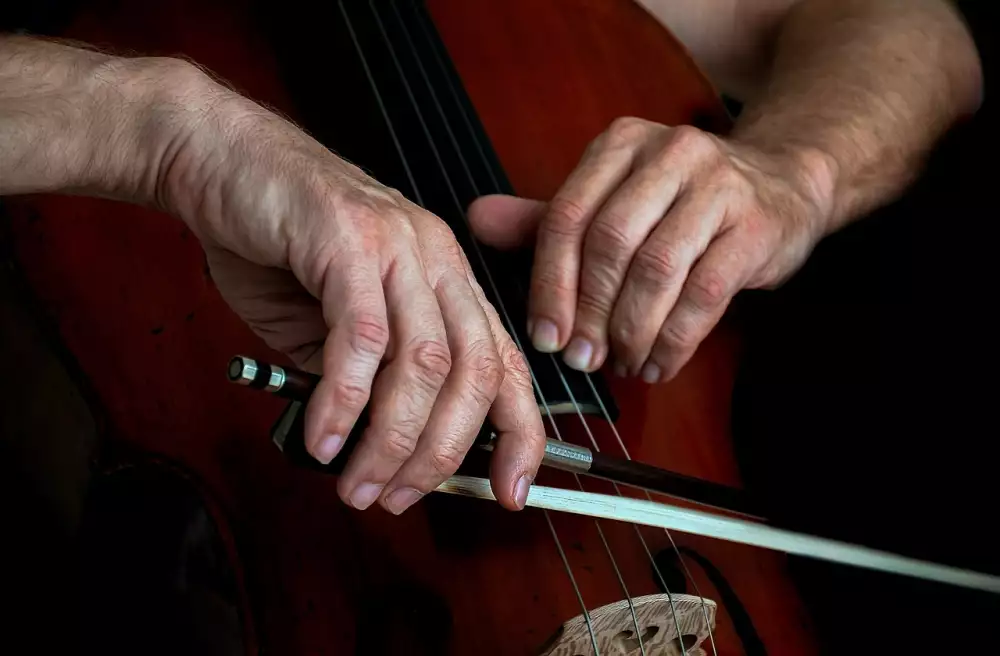 Violoncello