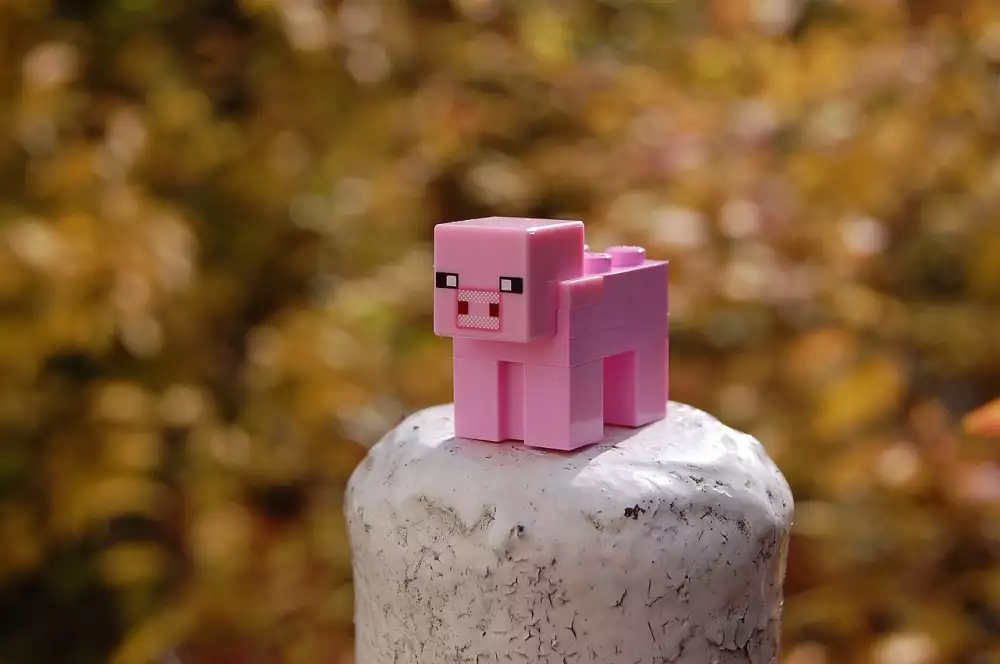 Minecraft Creeper
