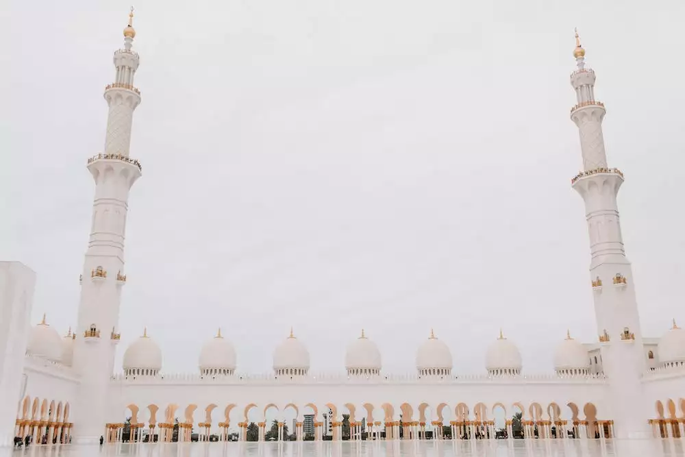 Tlapková Patrola Věž